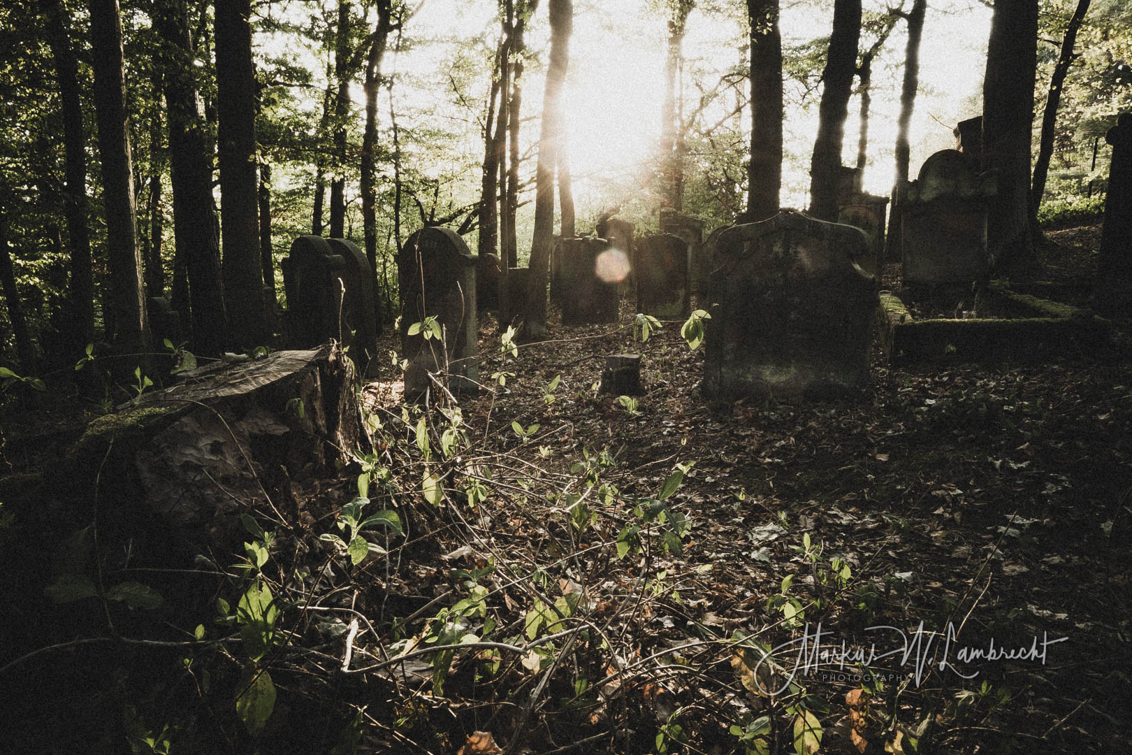 Rotenburg an der Fulda